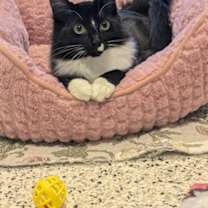 Thumbnail photo of Subzero #1