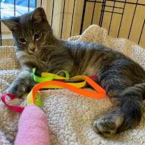 Thumbnail photo of Thelma & Louise #2