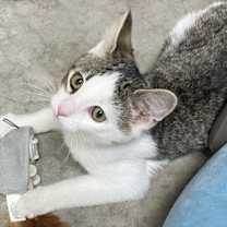 Thumbnail photo of Zip #2