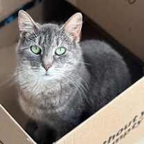 Thumbnail photo of Reese #3