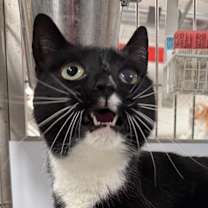 Thumbnail photo of Shadows #2