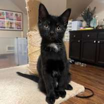 Thumbnail photo of Mercedes #3