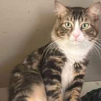 Thumbnail photo of Trace #4