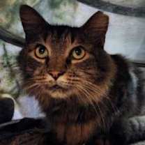 Thumbnail photo of MC #1