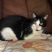 Thumbnail photo of Coen  #4