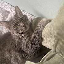 Thumbnail photo of Katrina #3