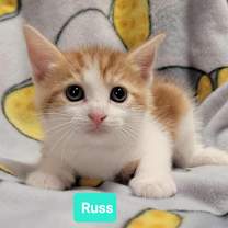 Thumbnail photo of Russ #2