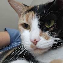 Thumbnail photo of Ruby #1