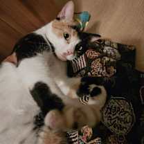 Thumbnail photo of Ruby #3