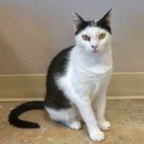 Thumbnail photo of Cleo Azalea #1