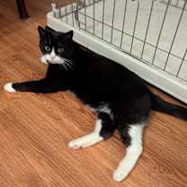 Thumbnail photo of Zip #3