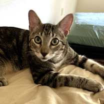 Thumbnail photo of Buddy #3