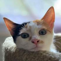 Thumbnail photo of Hannah Montana #4