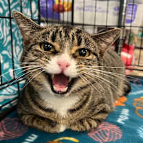 Thumbnail photo of Maeve #4