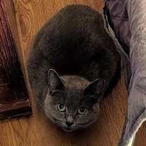 Thumbnail photo of Ingrid #1