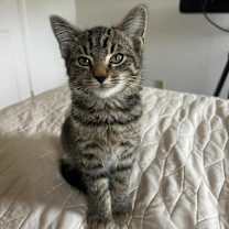 Thumbnail photo of Matrix #1