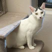 Thumbnail photo of Shurrbert #2