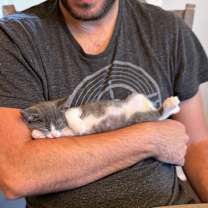 Thumbnail photo of Miss Thimble #4