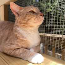 Thumbnail photo of Sunny D Johal #1