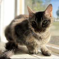 Thumbnail photo of Kathy #2