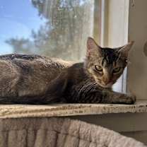 Thumbnail photo of Kathy #3