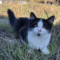 Thumbnail photo of Spot #1