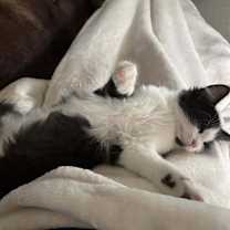 Thumbnail photo of Spot #4