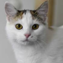 Thumbnail photo of ROSEMARY #2