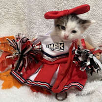 Thumbnail photo of Nutmeg: Not at the Shelter (Faith) #3