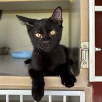 Thumbnail photo of Moonbeam #1