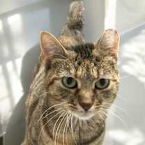 Thumbnail photo of Snow White #2