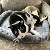 Thumbnail photo of Tracy #1