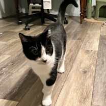 Thumbnail photo of Tracy #2