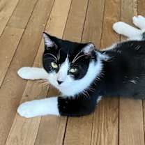 Thumbnail photo of Tracy #3