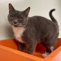 Thumbnail photo of Amira #2