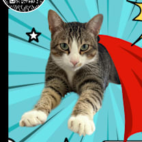 Thumbnail photo of Larry & Paula #1