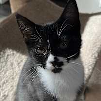 Thumbnail photo of Gabbie #1