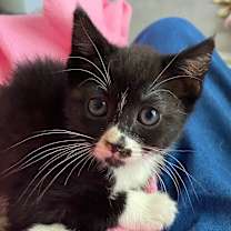 Thumbnail photo of Gabbie #3