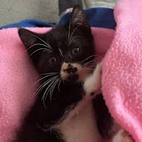 Thumbnail photo of Gabbie #4