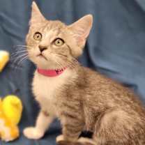 Thumbnail photo of Rita #2