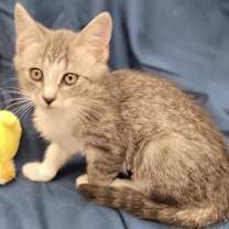 Thumbnail photo of Rita #1