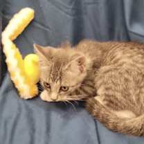 Thumbnail photo of Rita #3