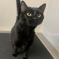 Thumbnail photo of Ella #4