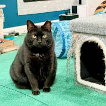 Thumbnail photo of Tiny #1