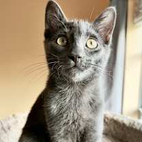 Thumbnail photo of Robb #3