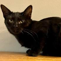 Thumbnail photo of MS BREEZY #2