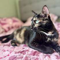 Thumbnail photo of Marley #1