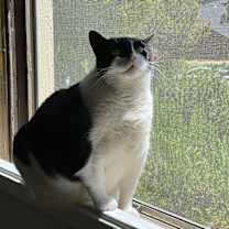 Thumbnail photo of Fred #4