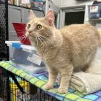 Thumbnail photo of Rylan #4