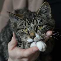 Thumbnail photo of Dean #1